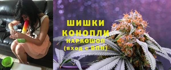 стаф Братск