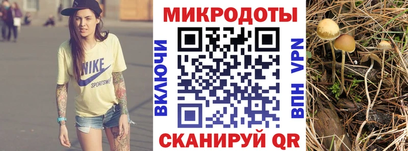 Галлюциногенные грибы Psilocybine cubensis  Екатеринбург 