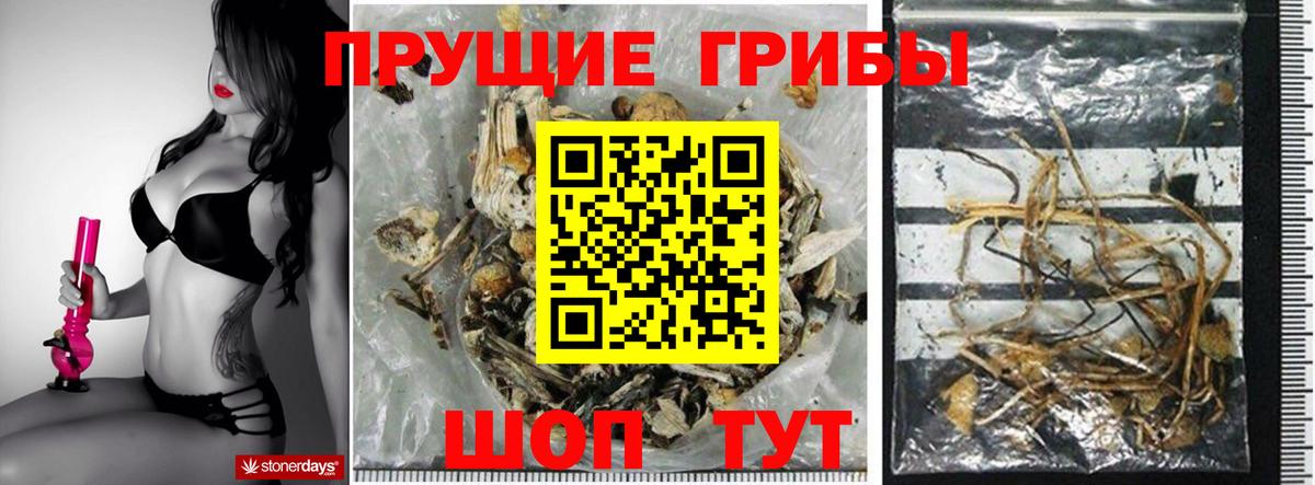 Галлюциногенные грибы Cubensis  Псилоцибиновые грибы мицелий  Екатеринбург  Вход с VPN 