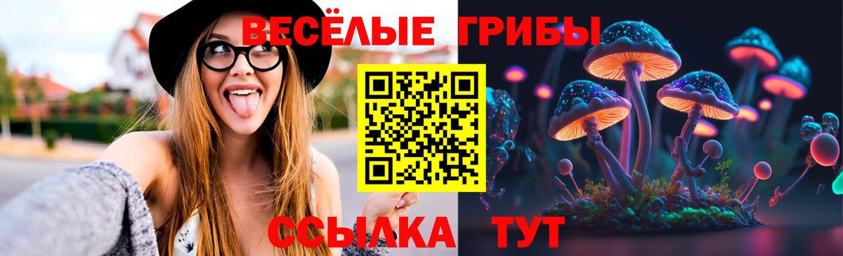 Галлюциногенные грибы Cubensis Екатеринбург